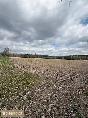 [eLicytacje] I licytacja - nieruchomość gruntowa zabudowana - WARSZAWIAK.EU