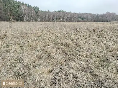 [eLicytacje] I licytacja - Łąki i grunty orne - DEALLO.PL