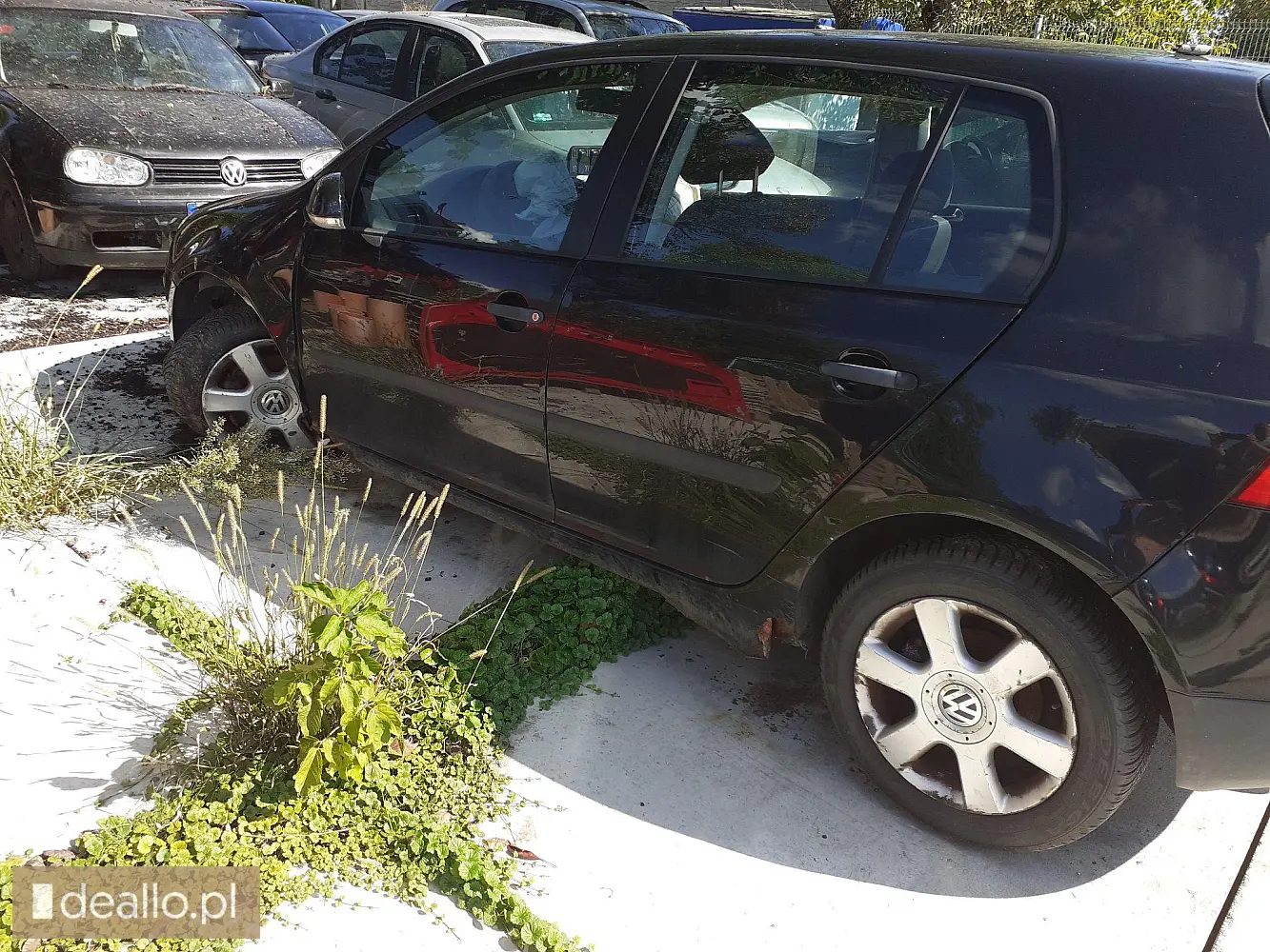 Samochód osobowy Volkswagen Golf, rok 2004, pojemność 1.9 TDI, diesel - II licytacja - [eLicytacje - Zdjęcie 2 - WARSZAWIAK.EU