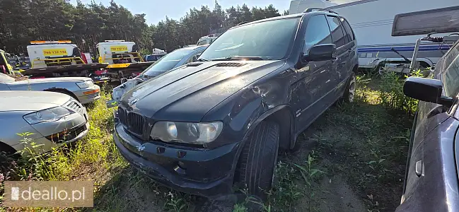 Bmw x5 3.0d, 2003 rok, 2926cm3, olej napędowy - ii licytacja - [elicytacje] - POZNANIAK.NET