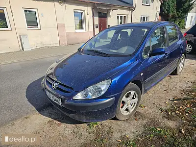 Peugeot 307, 2.0 hdi, 2002 - i licytacja - [elicytacje] - DEALLO.PL