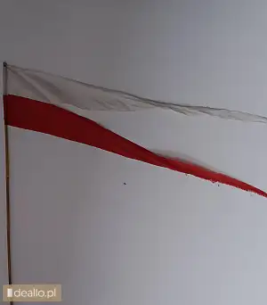 [eLicytacje] I licytacja - Flaga - DEALLO.PL