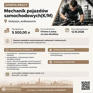 [ePraca] Mechanik pojazdów samochodowych(K/M) - DEALLO.PL