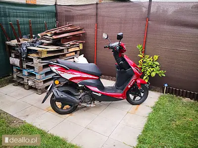 Motorower dwukołowy znen canoe 50 - i licytacja - [elicytacje] - DEALLO.PL