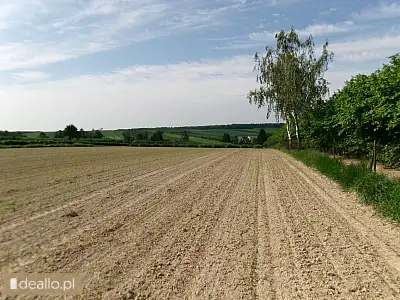 [eLicytacje] I licytacja - nieruchomość gruntowa niezabudowana - DEALLO.PL