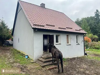 [eLicytacje] I licytacja - Nieruchomość gruntowa zabudowana budynkiem mieszkalnym jednorodzinnym Sta - DEALLO.PL