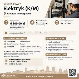 [ePraca] Elektryk (K/M) - DEALLO.PL