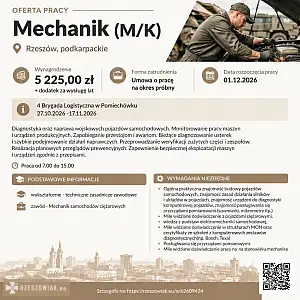 [ePraca] Mechanik (M/K) - DEALLO.PL